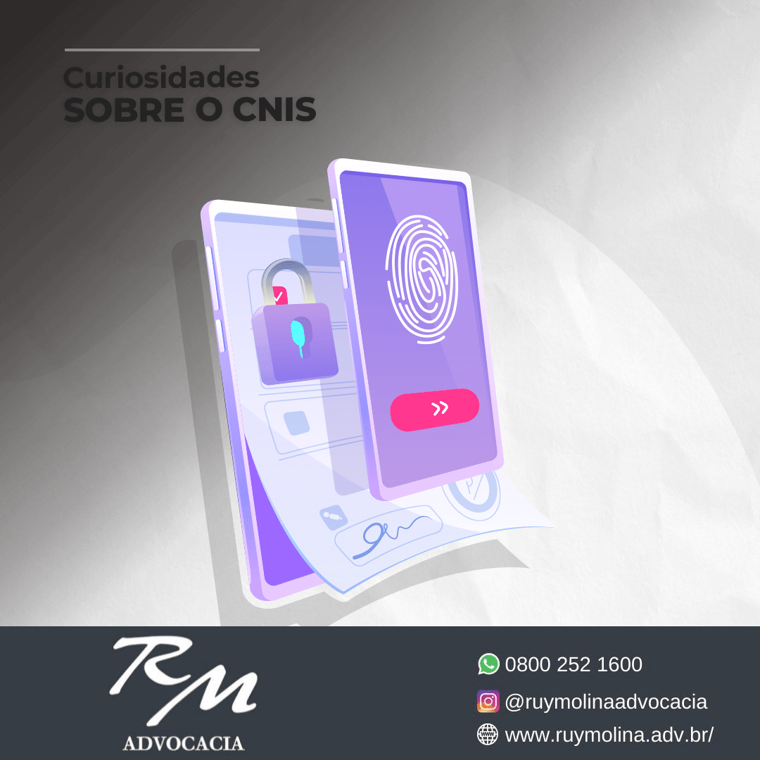 Curiosidades SOBRE O CNIS | Ruy Molina Advocacia